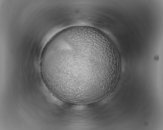 X0000115631278200911101429