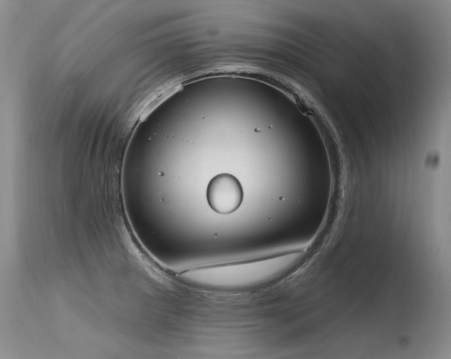 X0000115631281200911101429