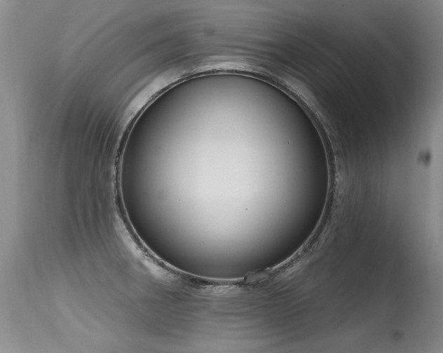 X0000115631282200911101429