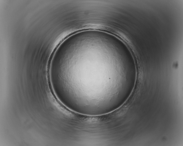 X0000115631283200911101429