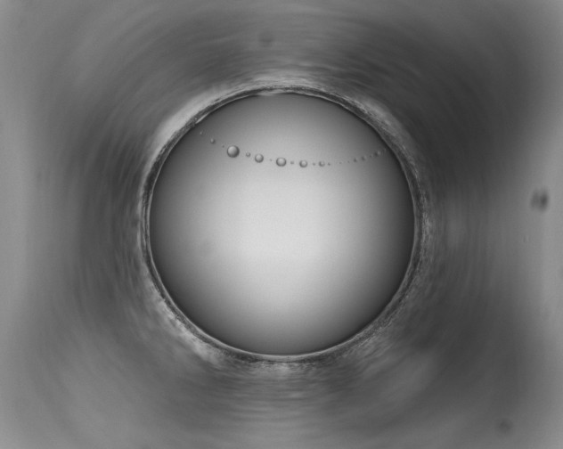 X0000115631286200911101429