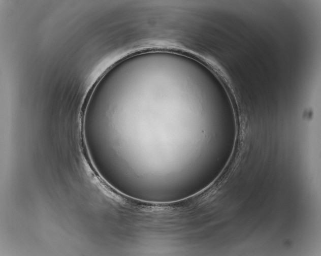 X0000115631287200911101429