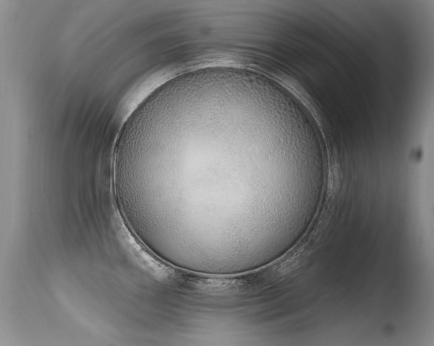 X0000115631290200911101429