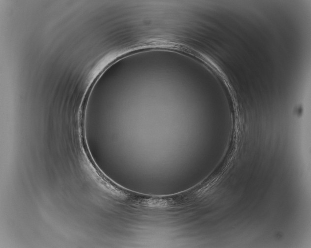 X0000115631291200911101429