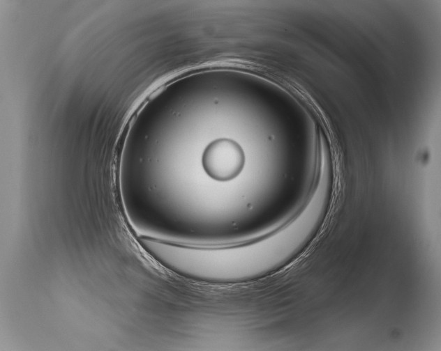 X0000115631292200911101429