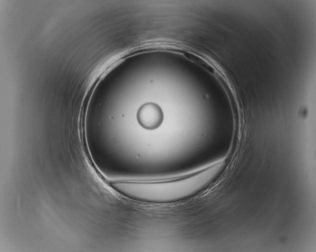X0000115631293200911101429