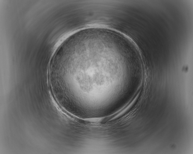 X0000115631295200911101429