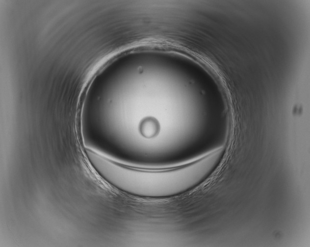 X0000115631296200911101429