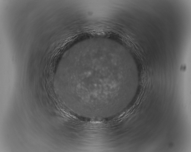 X0000115631297200911101428