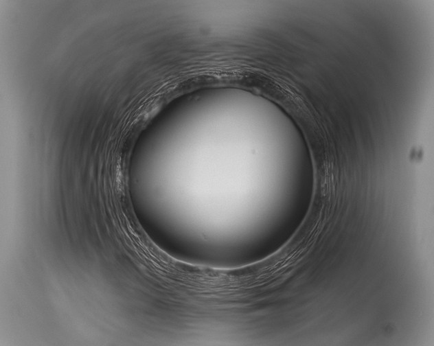X0000115631298200911101428