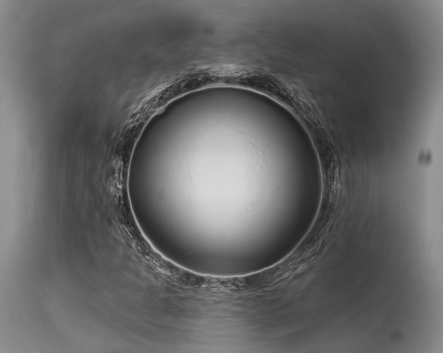 X0000115631301200911101428