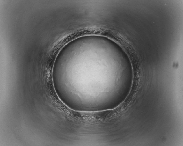 X0000115631302200911101428