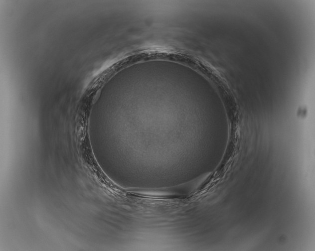 X0000115631303200911101428