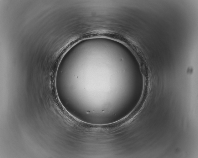 X0000115631305200911101428