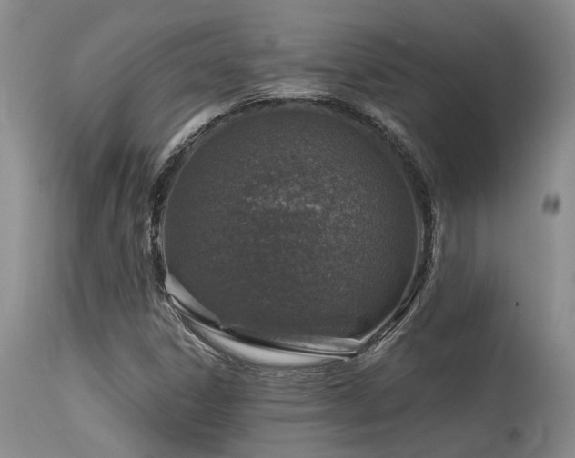 X0000115631306200911101428