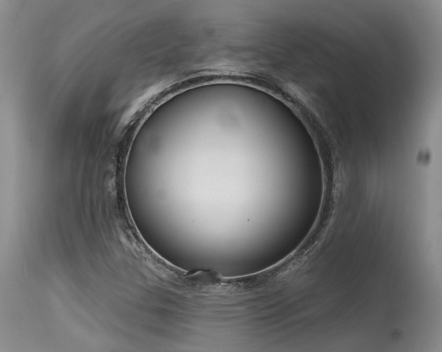 X0000115631307200911101428