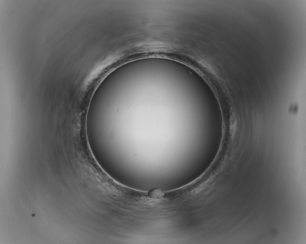 X0000115631309200911101428