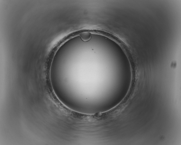 X0000115631311200911101428