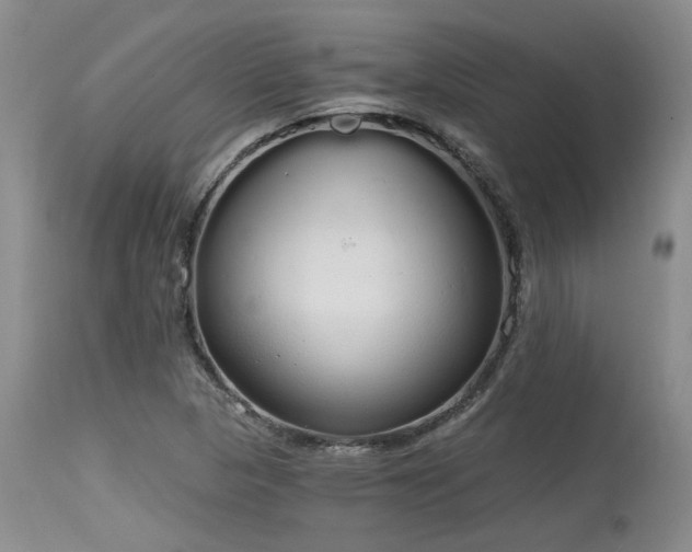 X0000115631313200911101428