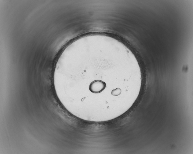 X0000115631314200911101428