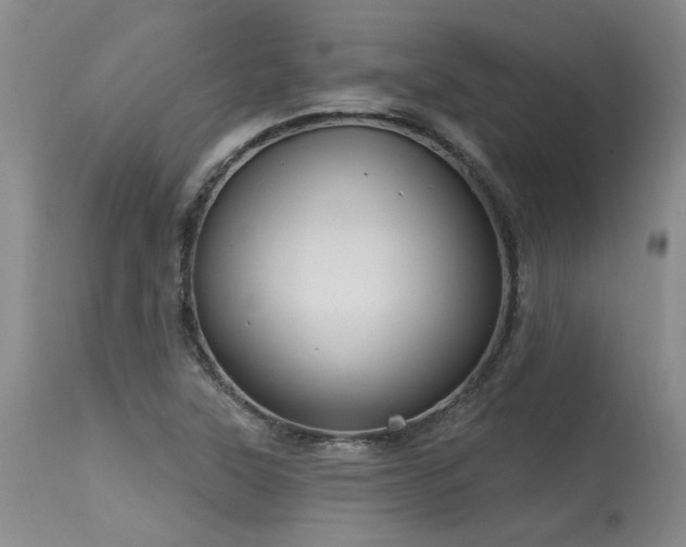 X0000115631315200911101428