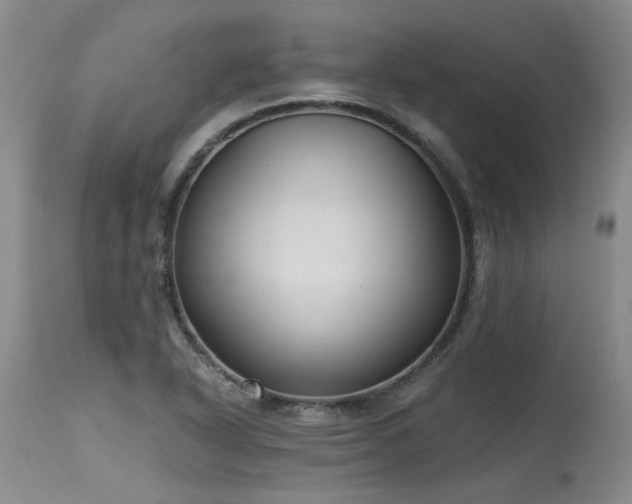 X0000115631318200911101429
