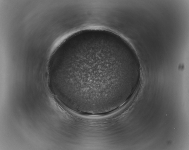 X0000115631319200911101429