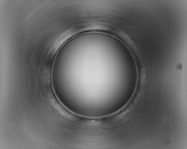 X0000115631321200911101429