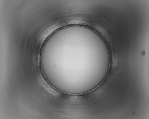 X0000115631322200911101429