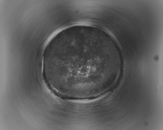 X0000115631323200911101429
