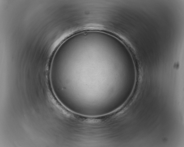 X0000115631325200911101429
