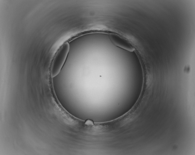 X0000115631326200911101429