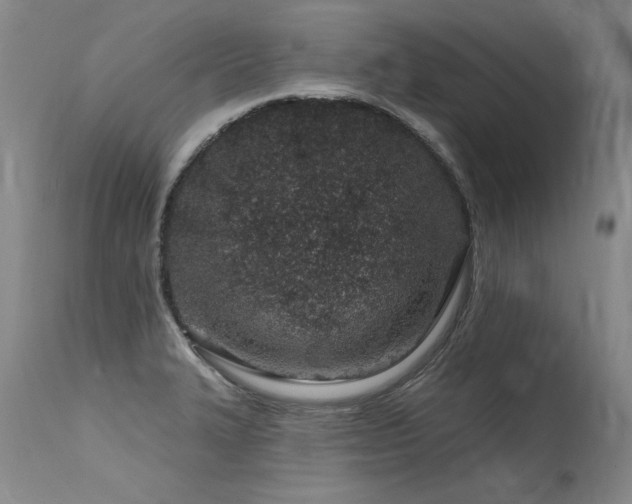 X0000115631327200911101429