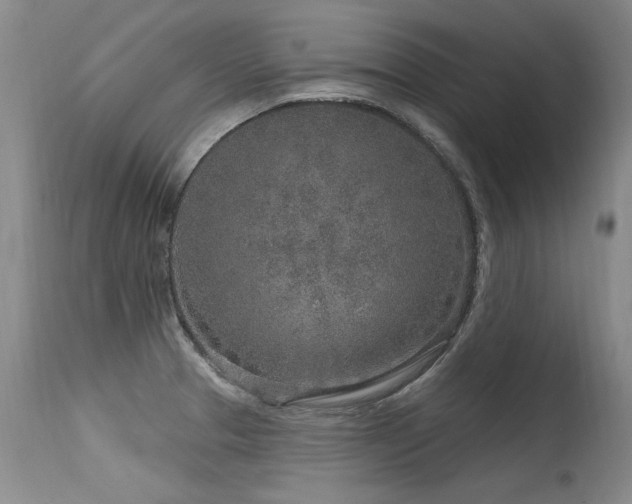 X0000115631329200911101429