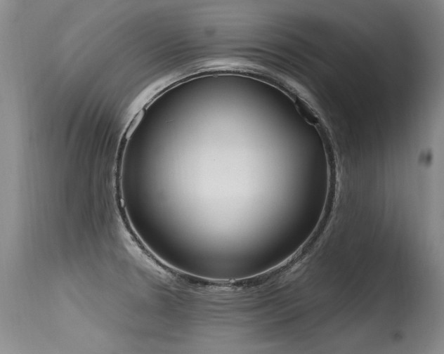 X0000115631330200911101429