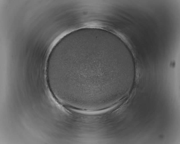 X0000115631331200911101429