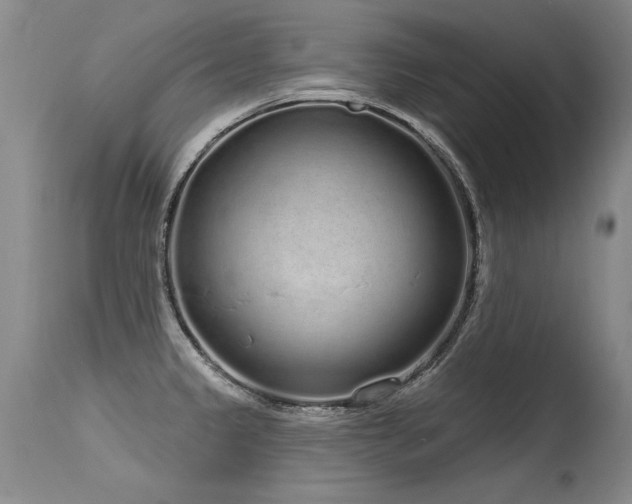 X0000115631333200911101429