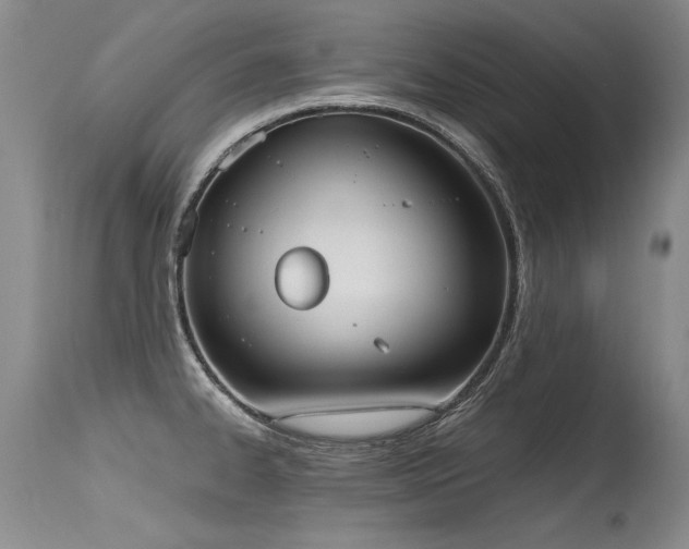 X0000115631334200911101429