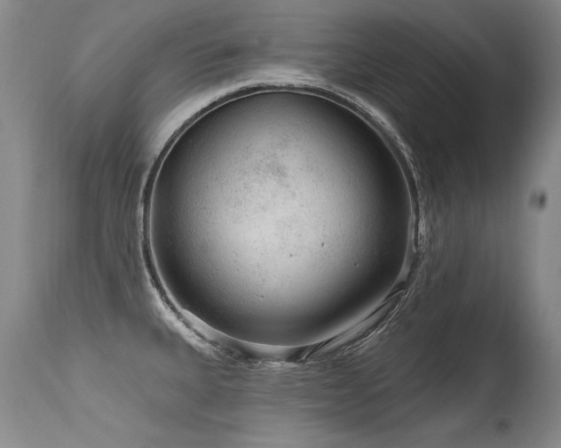 X0000115631335200911101429