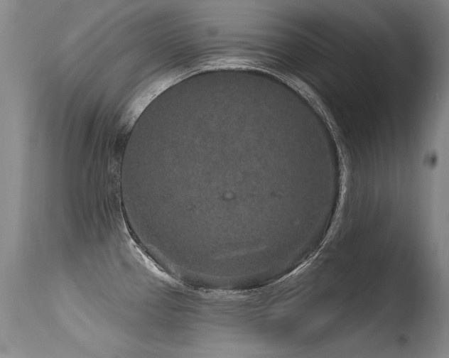 X0000115631337200911101429