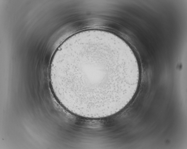 X0000115631338200911101429