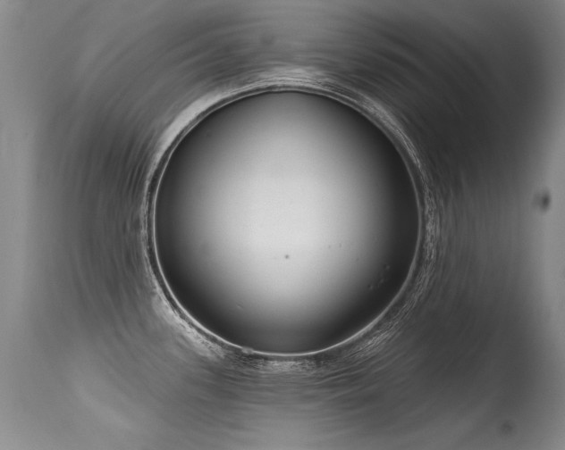 X0000115631339200911101429