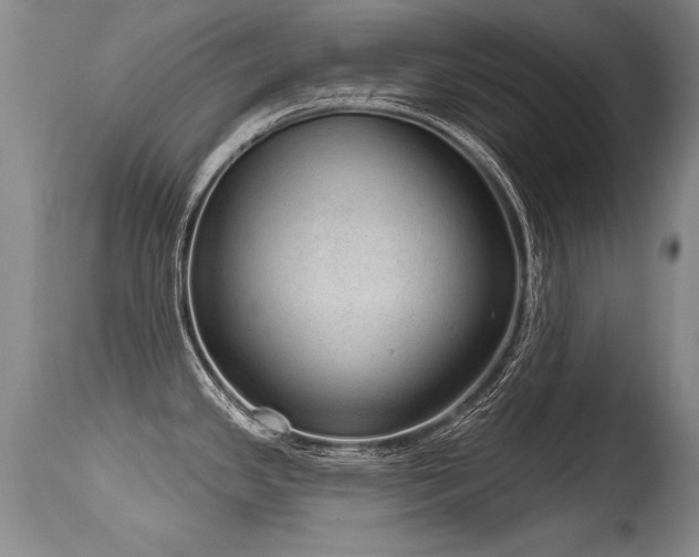 X0000115631341200911101429