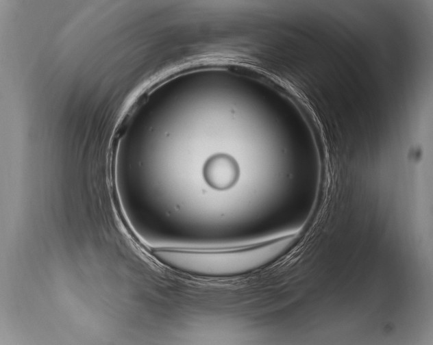X0000115631342200911101429