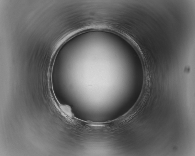 X0000115631343200911101429