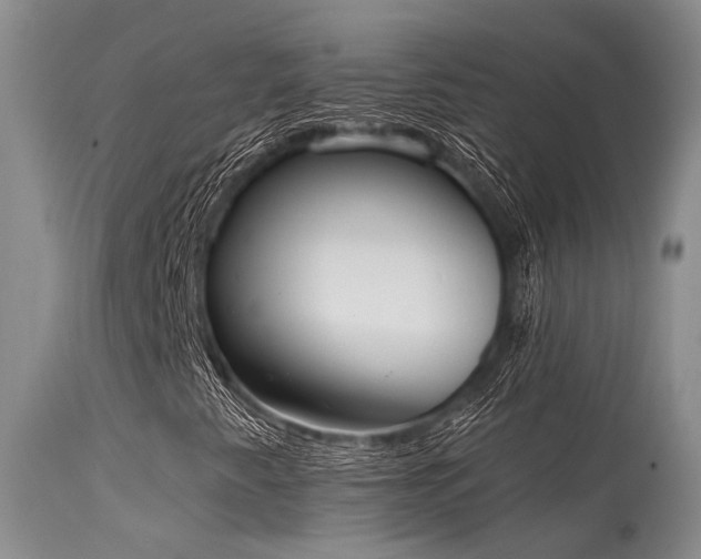 X0000115631345200911101428