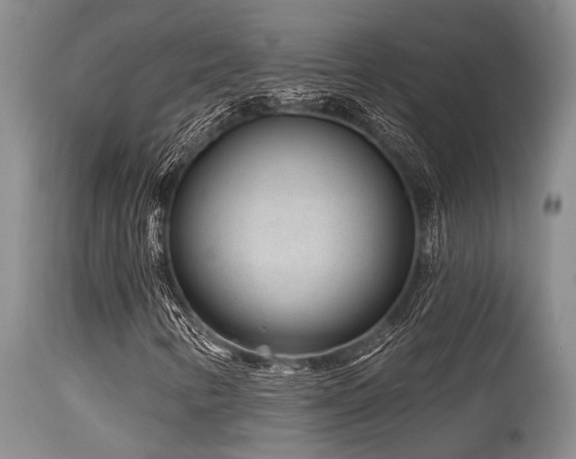 X0000115631346200911101428