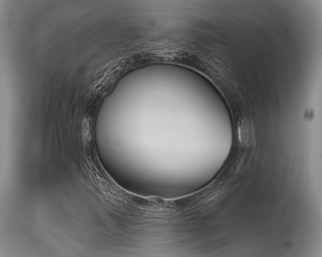 X0000115631347200911101428