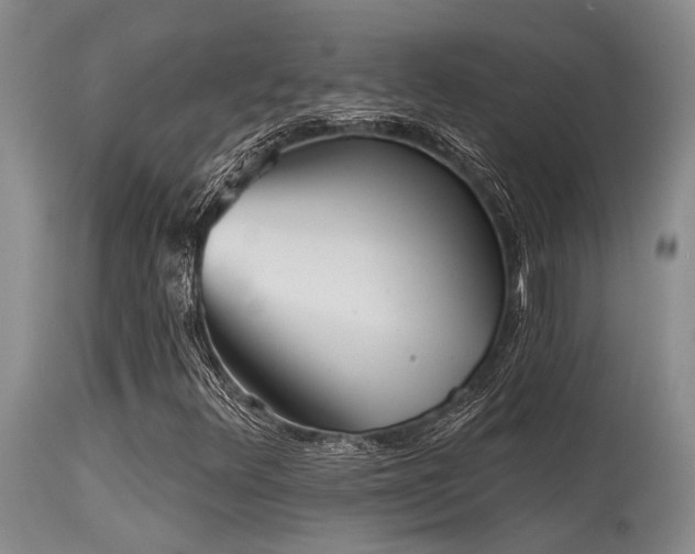 X0000115631348200911101428