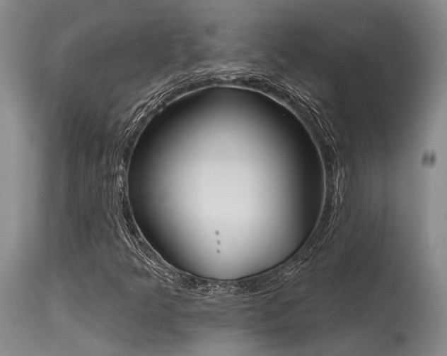 X0000115631349200911101428